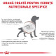 Royal Canin Veterinary Gastrointestinal Dog – Hrană Uscată pentru Câini cu Probleme Digestive, 2 kg